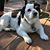 Kathy Hilker's profile image