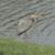 Heather Taylor's profile image
