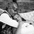 Kristin Morrill's profile image