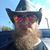 Mike Stockman's profile image