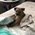 Jenny O'Bryan Phillips's profile image