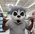 Palma Chuy's profile image