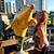 Lesley Finke's profile image