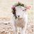 Debbie McGinley's profile image