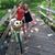 Kathleen Poenitsch's profile image