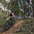 Rivas Dantas's profile image