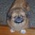 Cheryl Beck Chaput's profile image