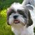 Sheri Danielson's profile image