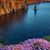 Nancy Barringer Bateson's profile image