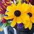 Annette Sorenson's profile image