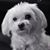 Rhonda Renee DeHart's profile image