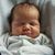 Lauren Holland Smith's profile image
