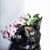 Carn Devanko Cahoon's profile image