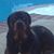 Brad Schield's profile image