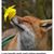 William J. Fox's profile image
