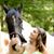 Michelle Parrish Perry's profile image
