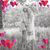 Allison Cobb Brock's profile image