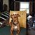 Don Hartsock's profile image