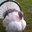 Scott Hackler's profile image