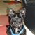 James Caraway's profile image