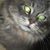 Lyndsey Clark's profile image