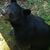 Mike Hinton Jr.'s profile image