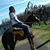 Nikki Herron's profile image