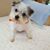 Carol Ann CooperTaylor's profile image