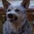 Paul Gerold's profile image