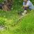 Carol Lee Balek's profile image