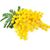 Jennifer Abate-Bonetti's profile image