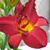 Cindy Joy Webb's profile image