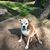 Peggy Ann Laut's profile image