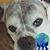 Tracey Kootz's profile image
