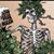 Ken Woods's profile image
