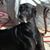 Debbie Blackburn Rowland's profile image