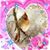 Joyce Elliott's profile image