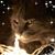 Tiffany Bettura's profile image