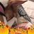 Mary Lou Vescio's profile image