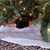 Jennifer Mellott Grant's profile image