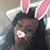 Amaya Gamble's profile image