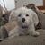 Maggie Calicher's profile image