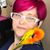 Denise Donahue's profile image