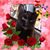Geeky Vicky's profile image