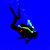 Robert Bidigare's profile image