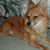 Bonnie Kuntz Robinson's profile image
