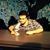 Georgo Tsourakis's profile image