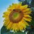 Becky Brown's profile image