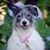 Nancy Kirwan's profile image