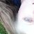 Amy Barnard's profile image